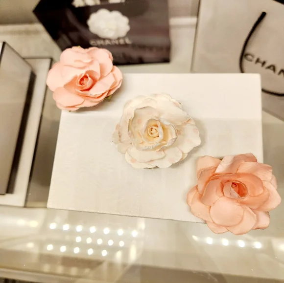 ❌️SOLD❌️. Authentic FENDI Hair Clip - Picture 7 of 11